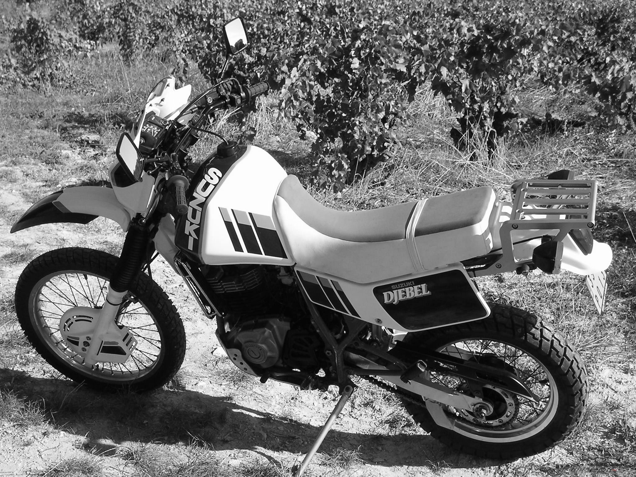 Photo 1067362