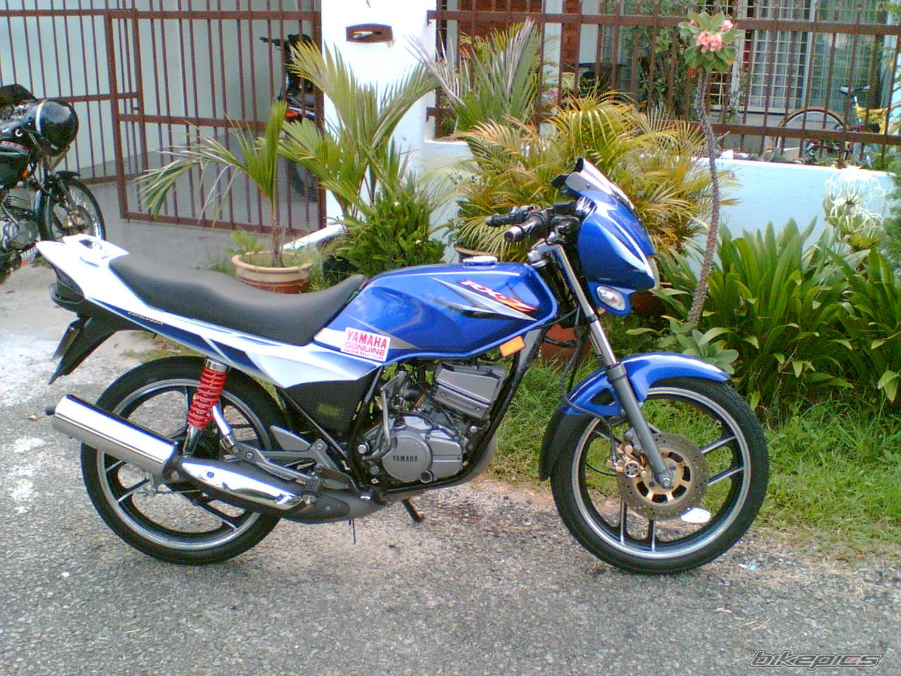 Photo 1067488