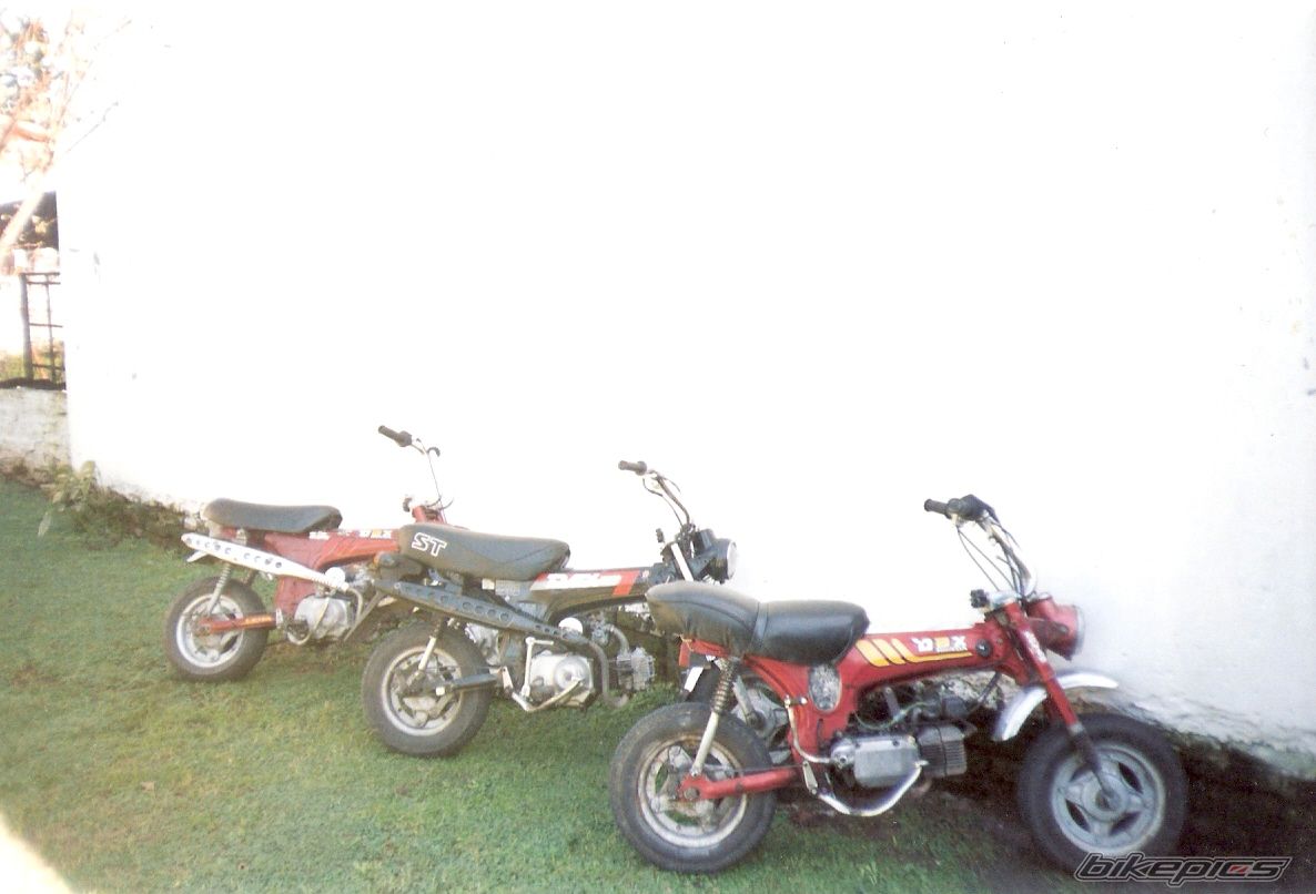 Photo 1067667