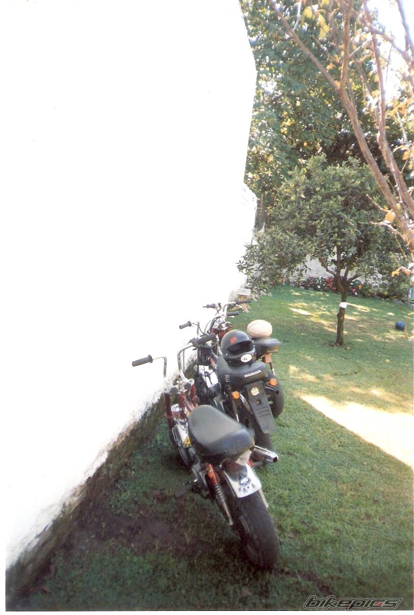 Photo 1067683