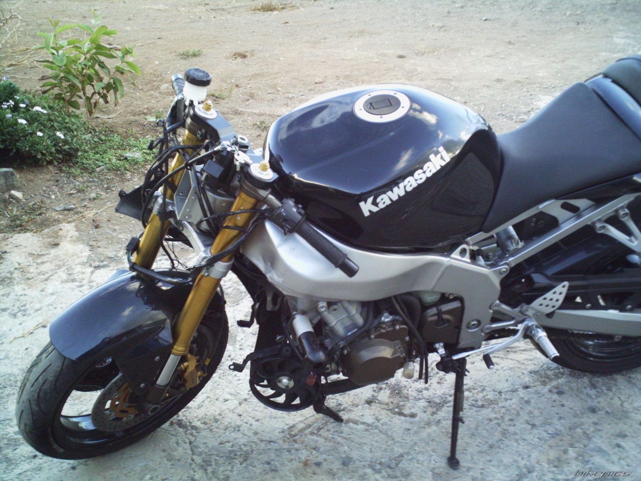 Photo 1067846