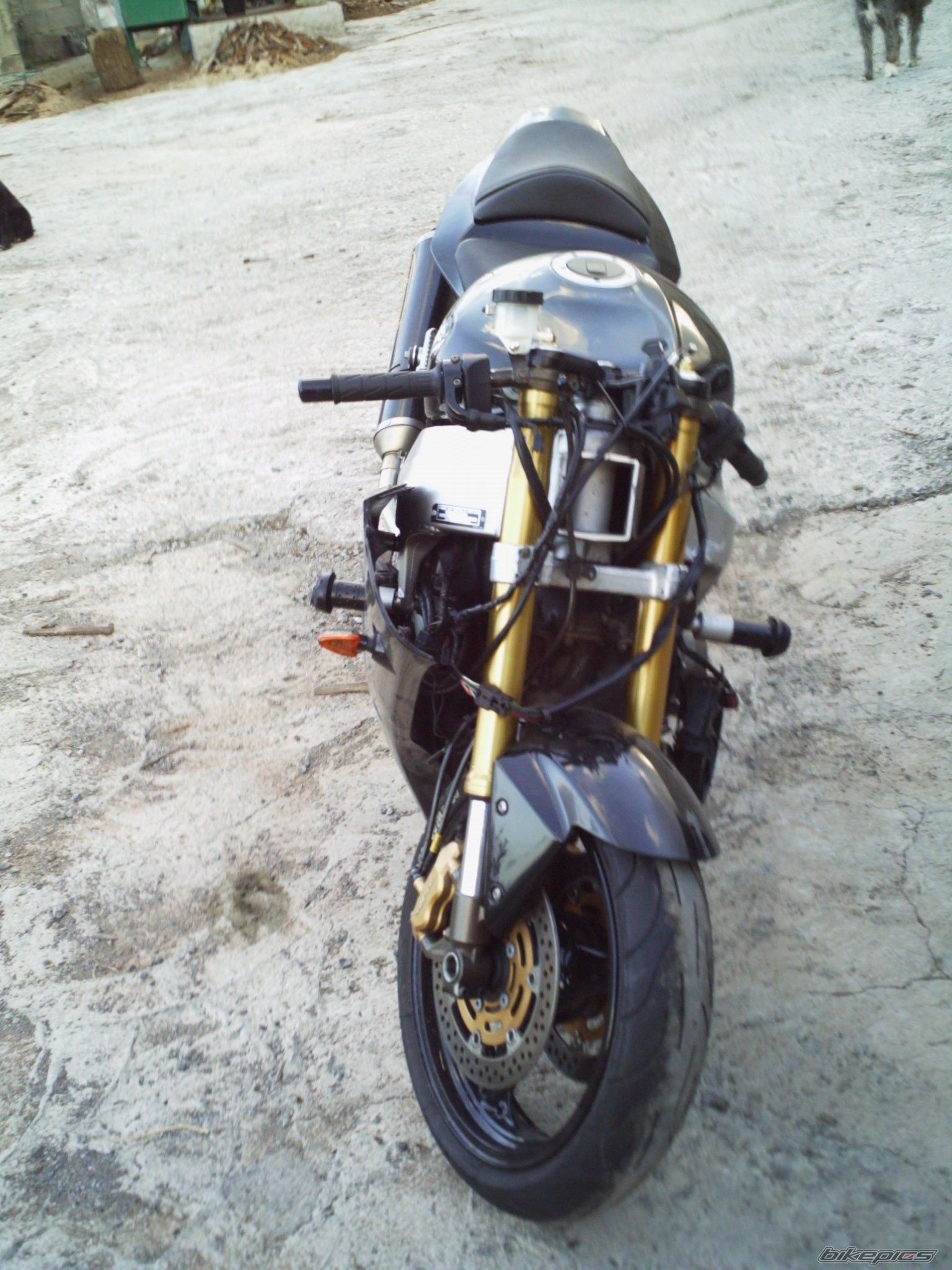 Photo 1067849