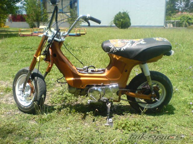 Photo 1067887