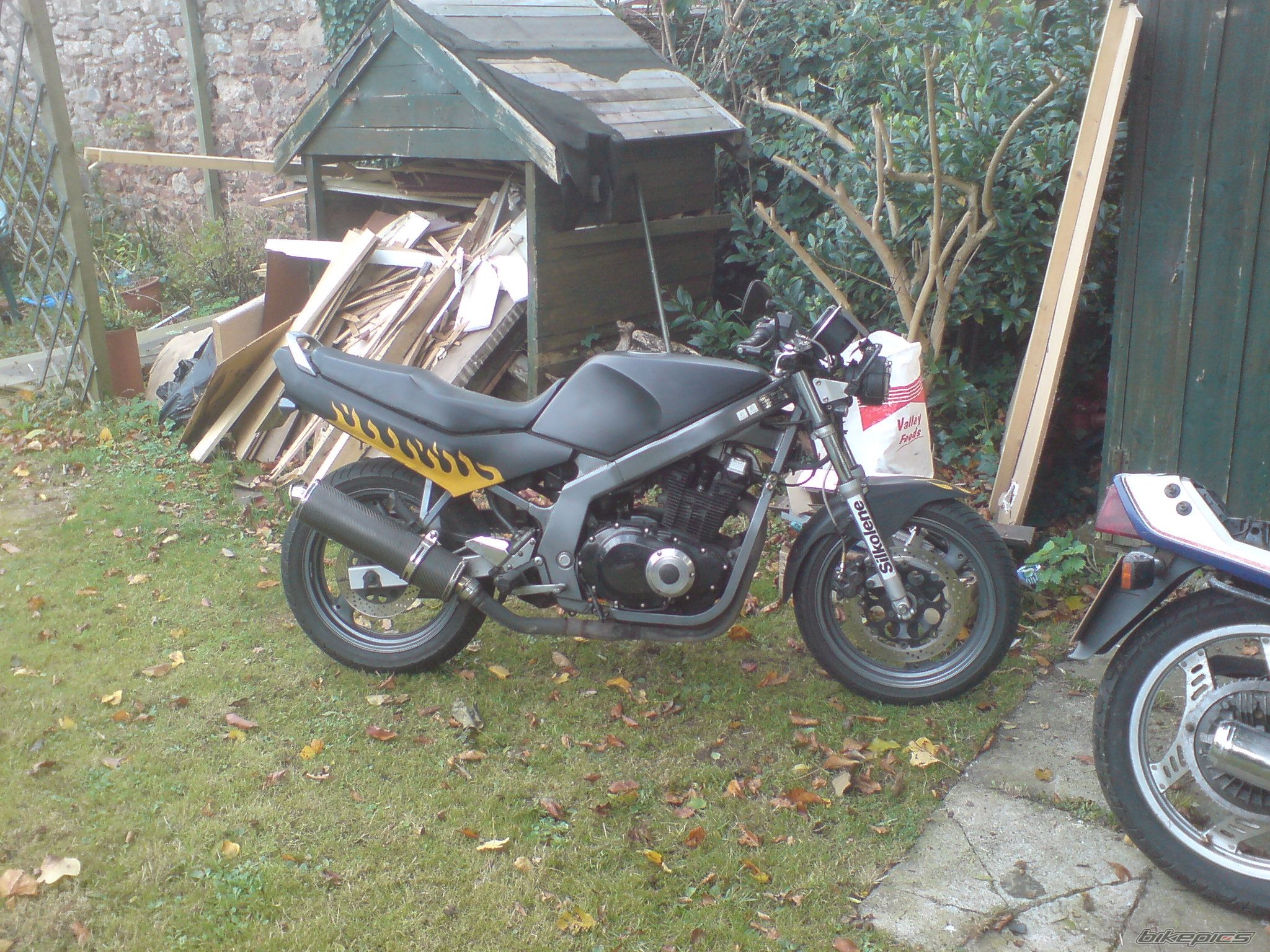 Photo 1068164