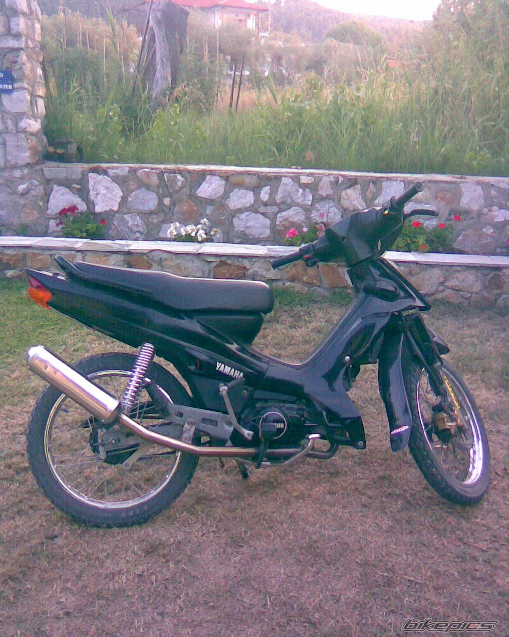 Photo 1068368