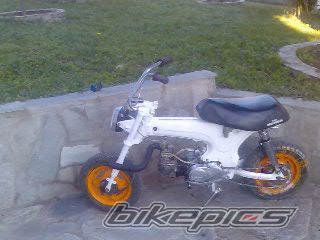 Photo 1068406