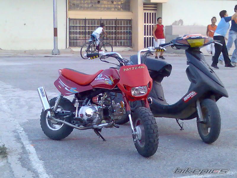 Photo 1068410