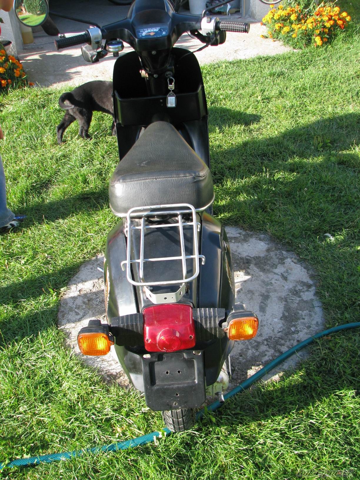 Photo 1068508