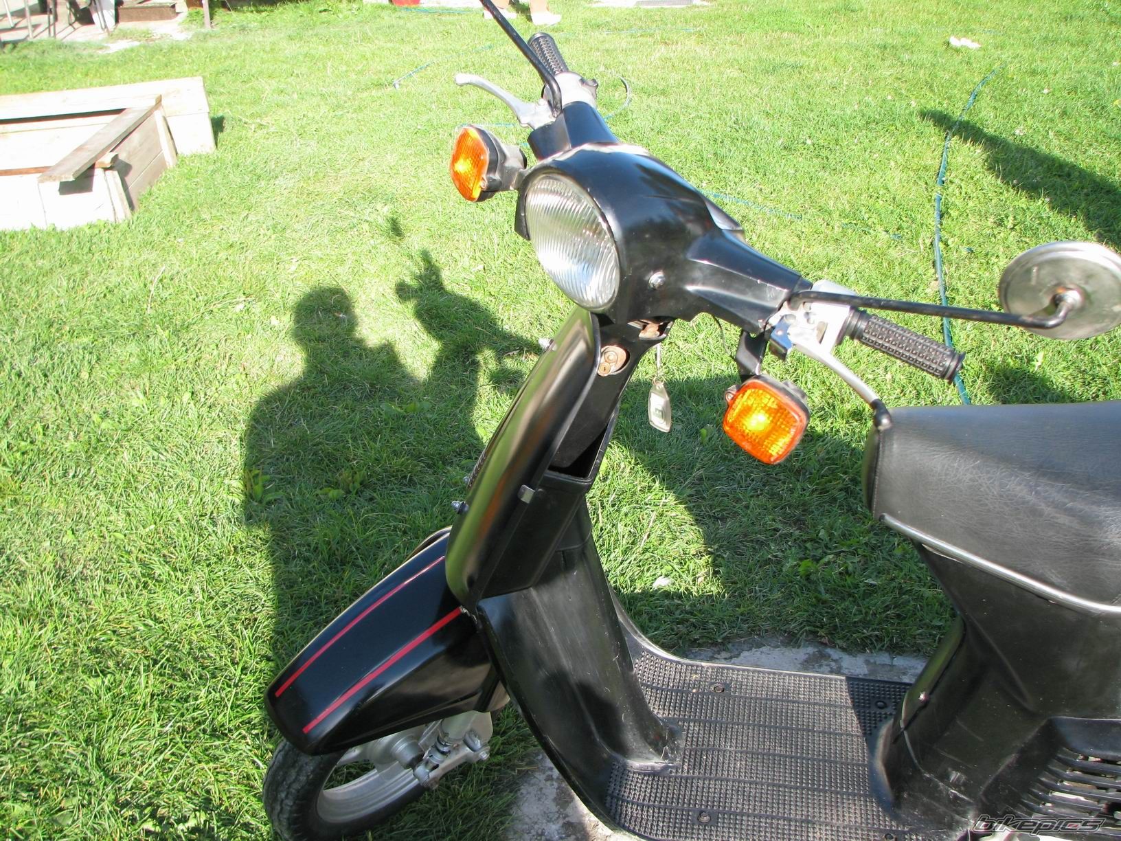 Photo 1068512