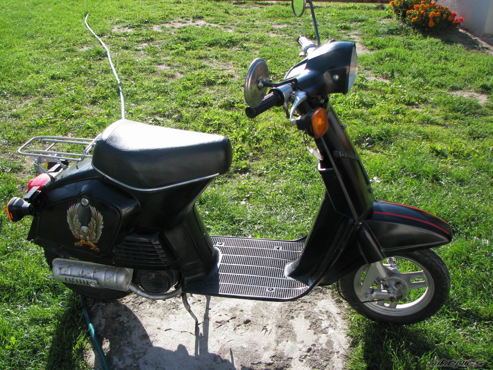 Photo 1068514