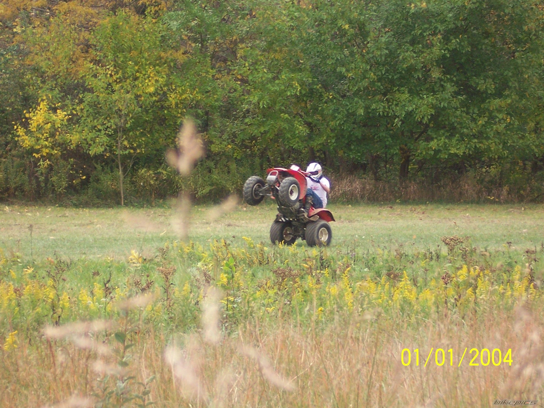 Photo 1068540