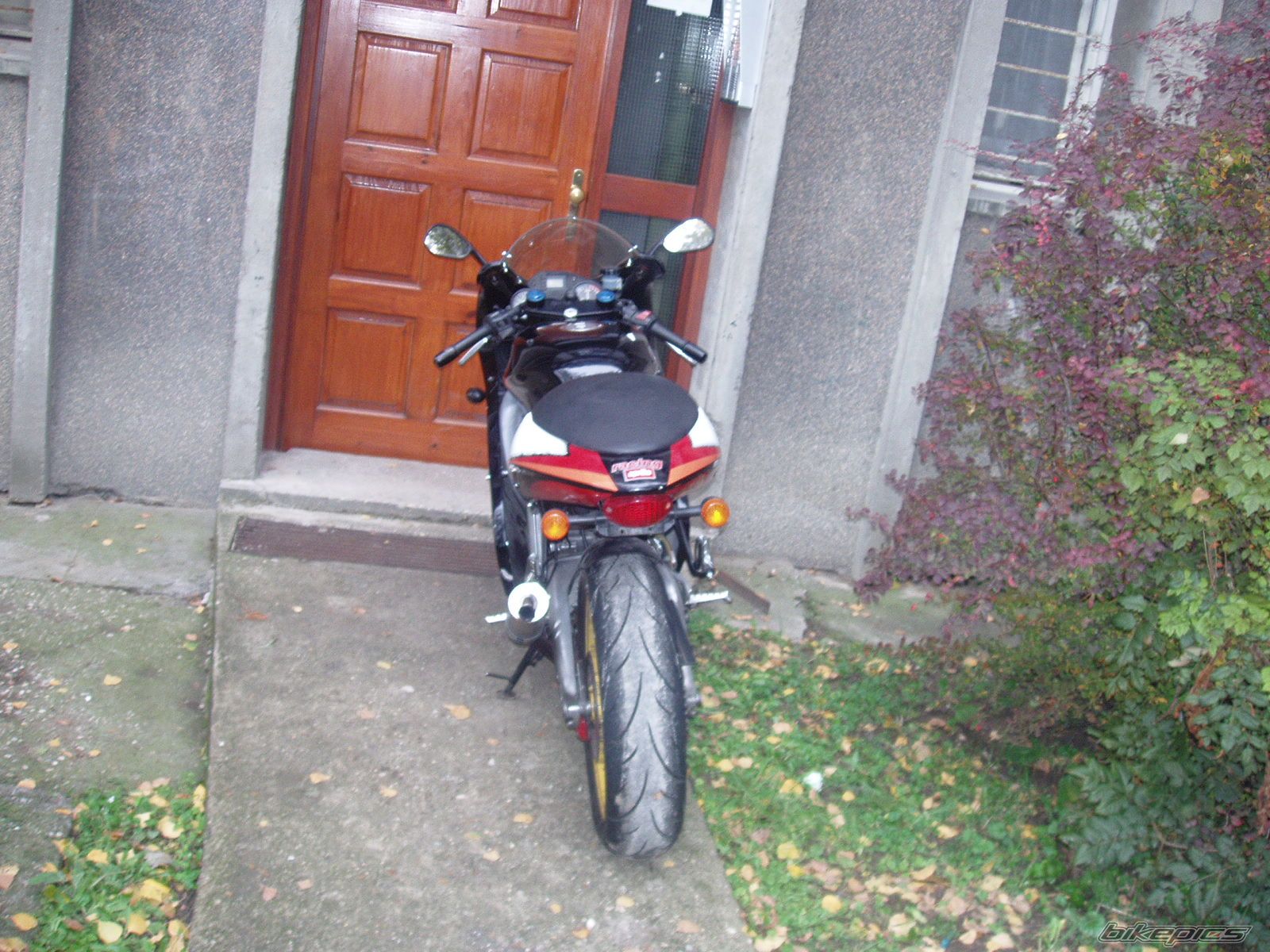 Photo 1068554