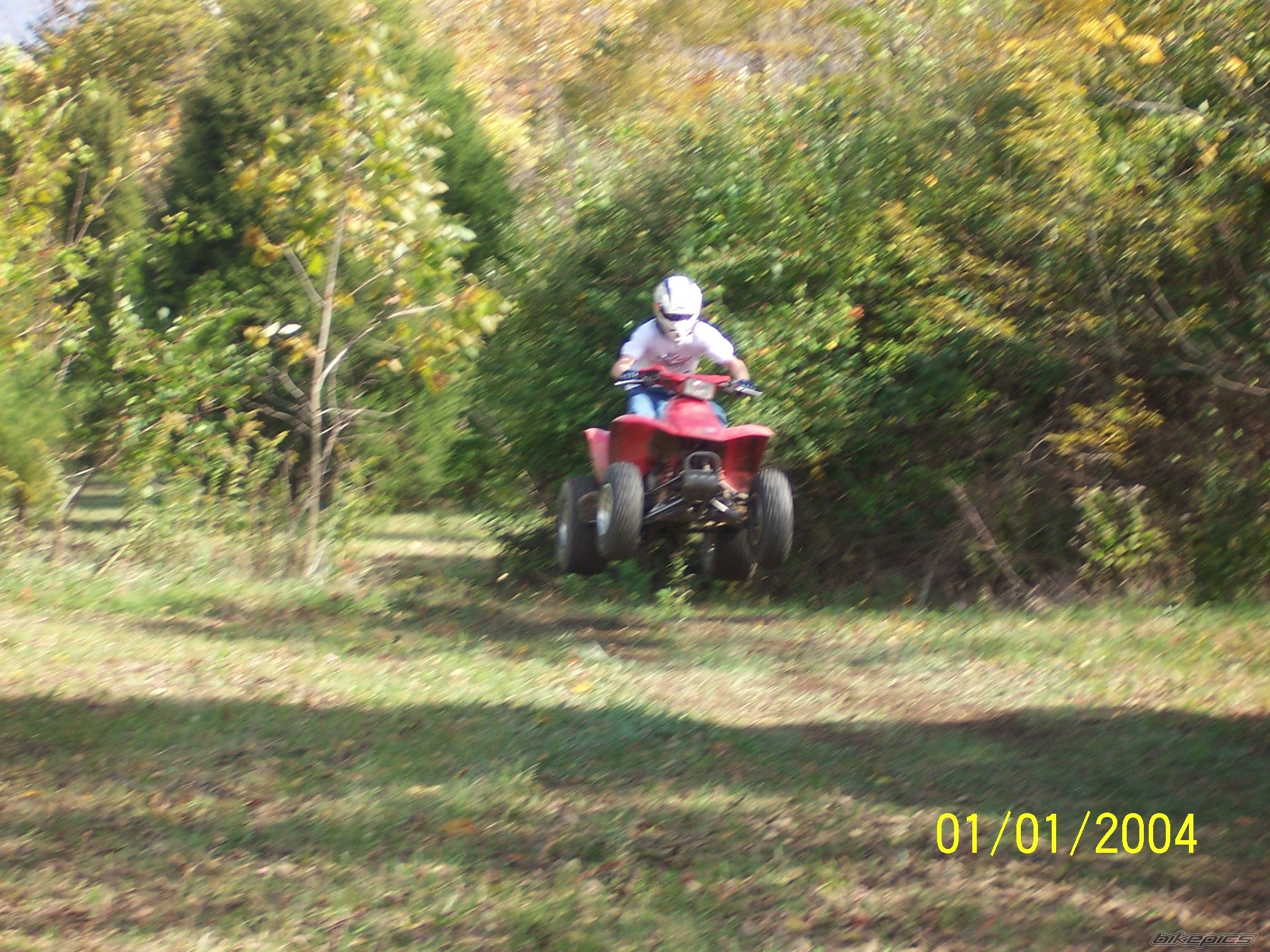 Photo 1068567