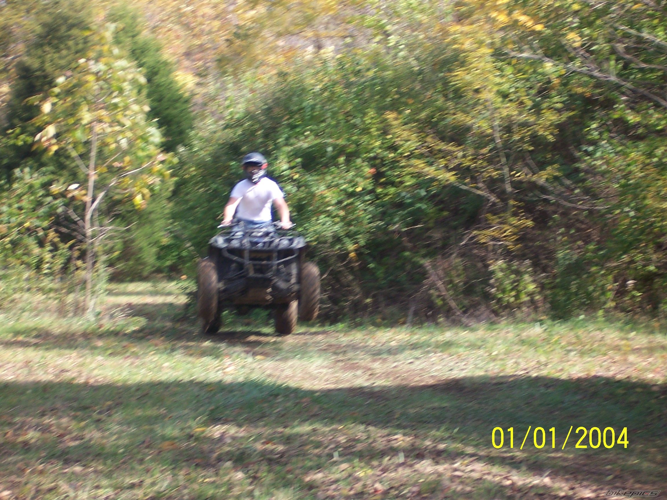 Photo 1068614