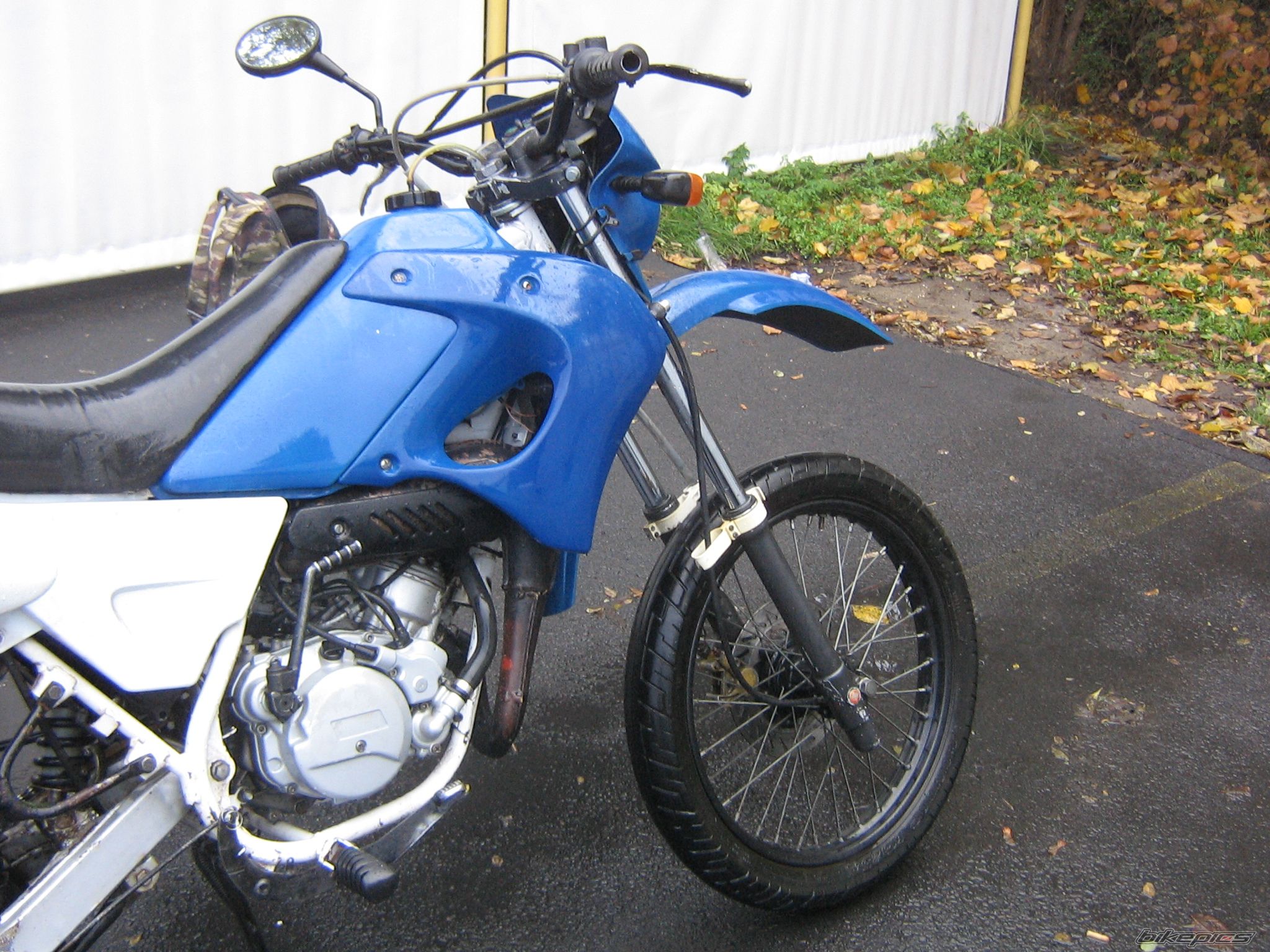 Photo 1068894
