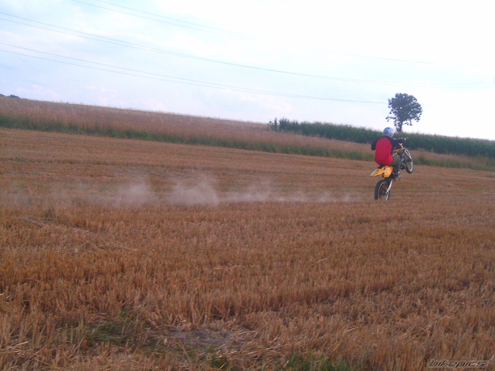 Photo 1068960