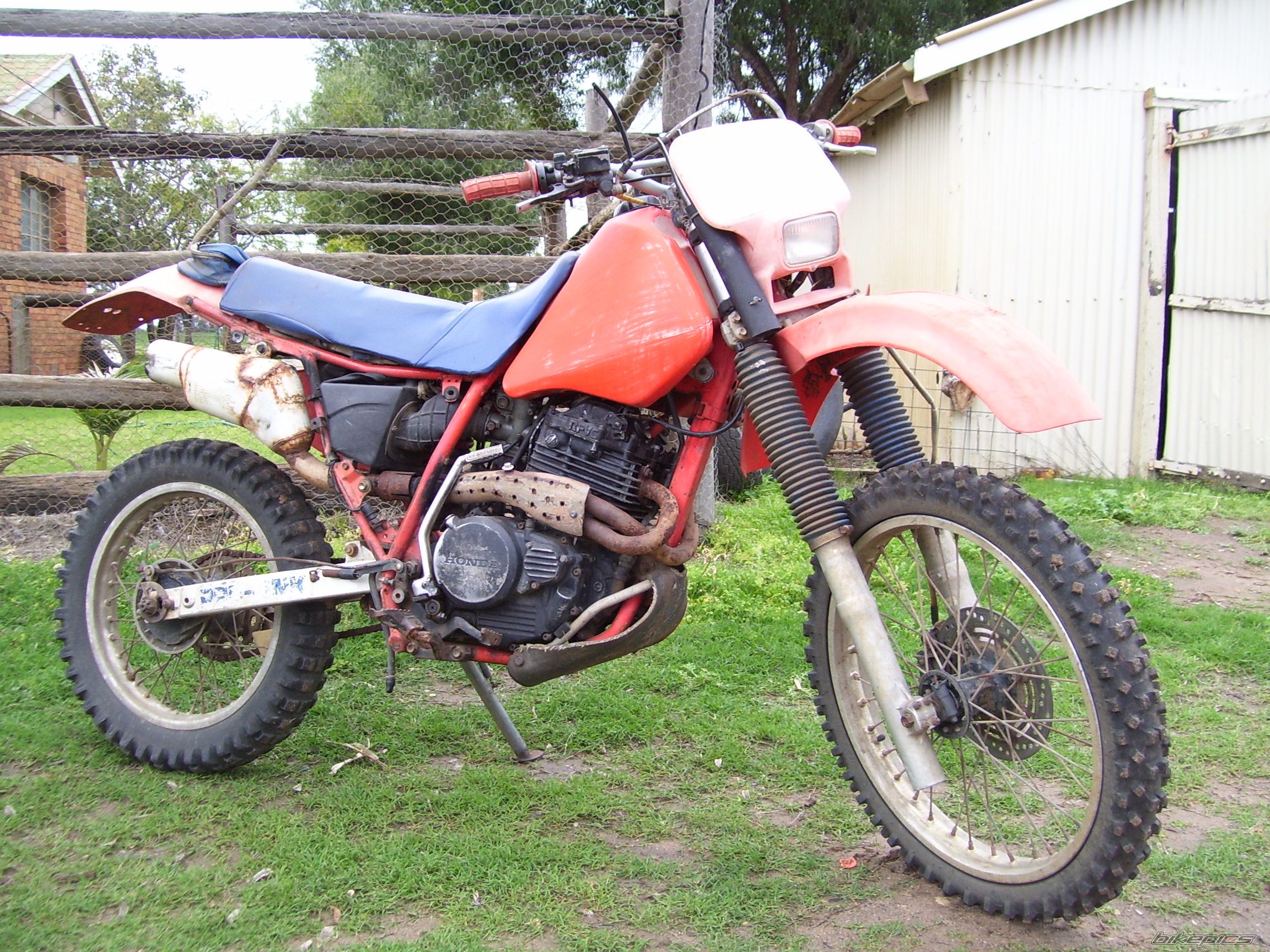 Photo 1069235