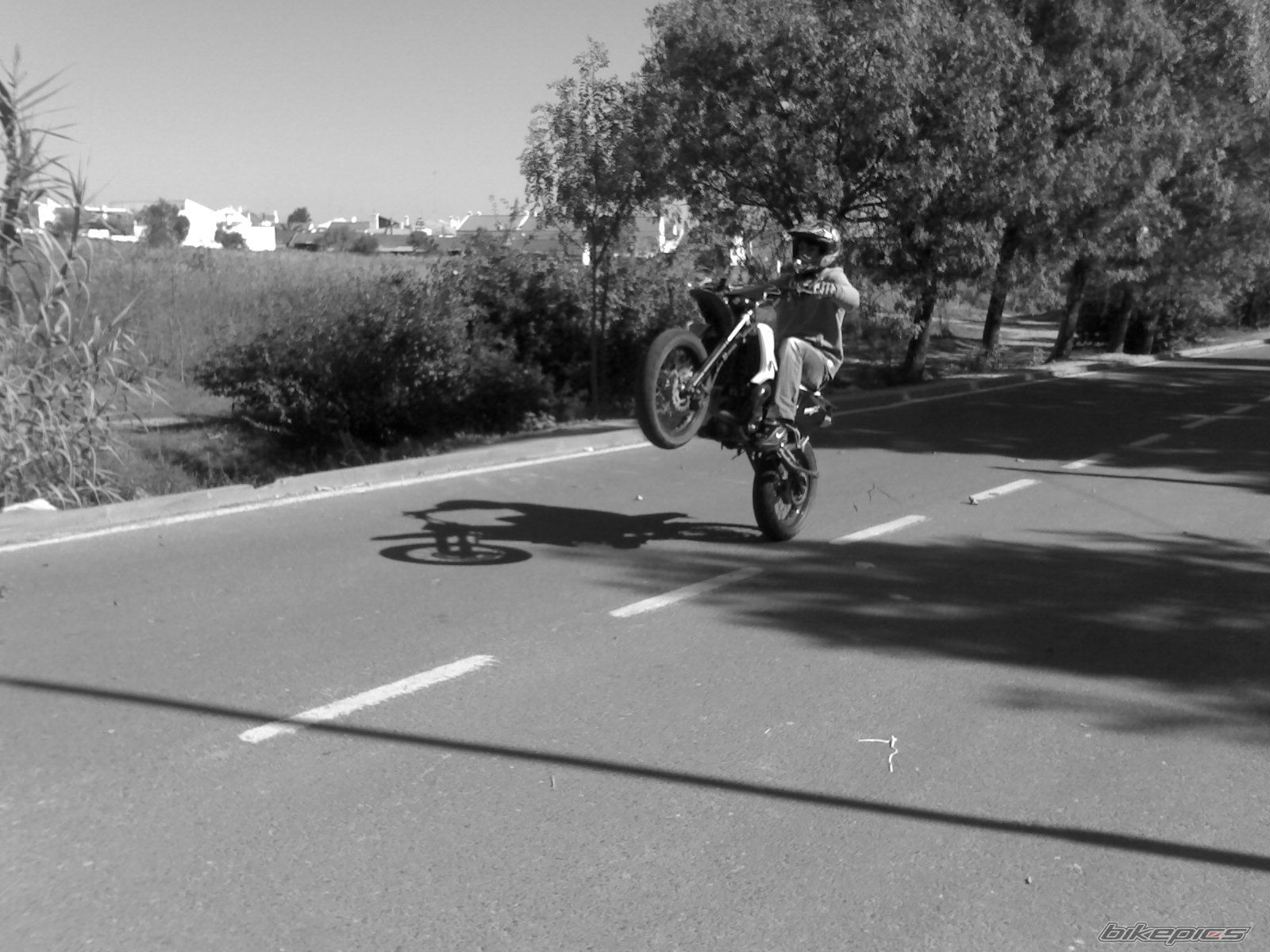 Photo 1069351