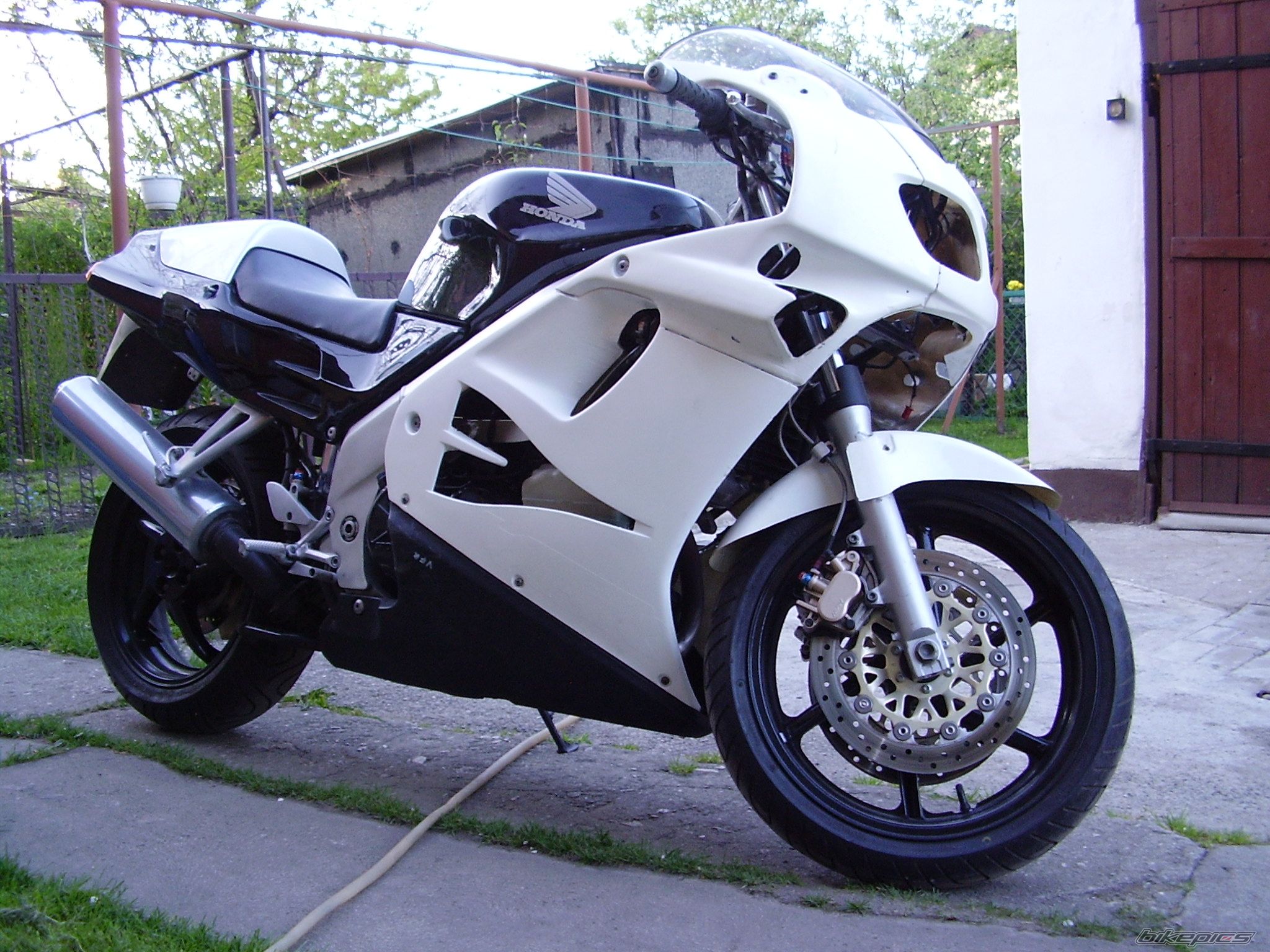 Photo 1069420