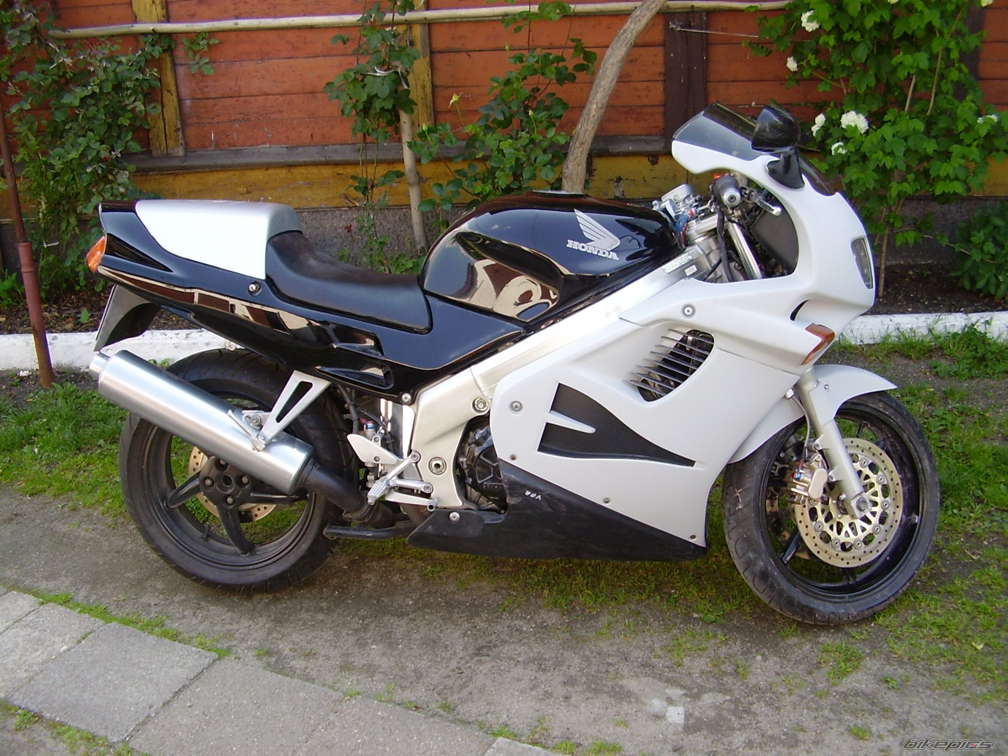 Photo 1069426
