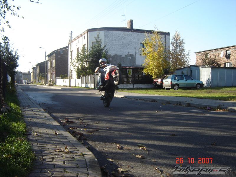 Photo 1069480