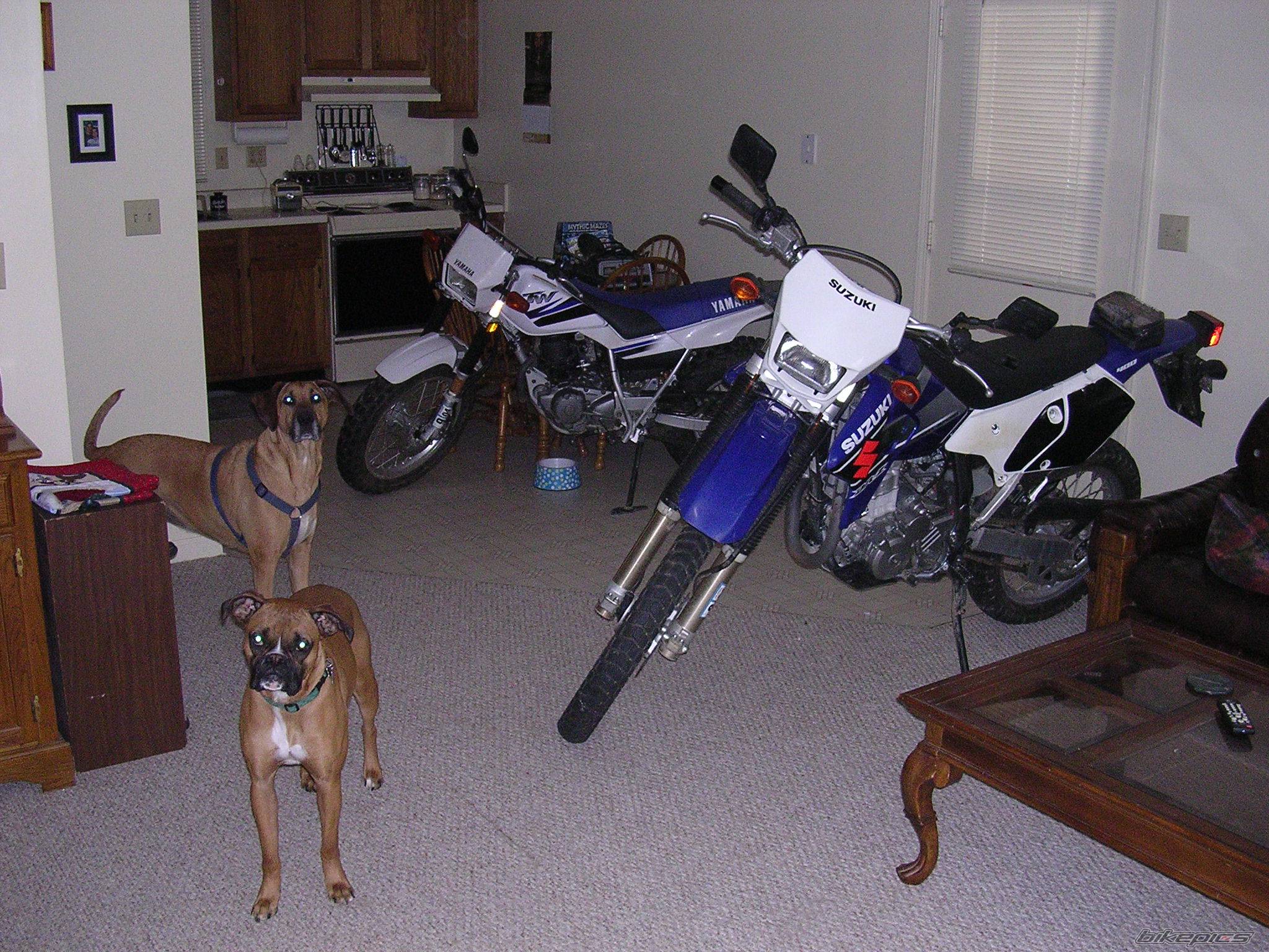 Bike Photo 106993
