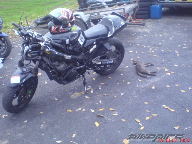 Photo 1069975
