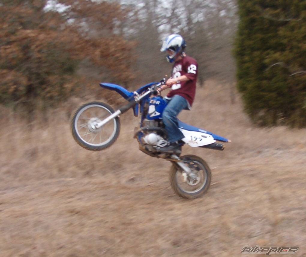 Photo 107007