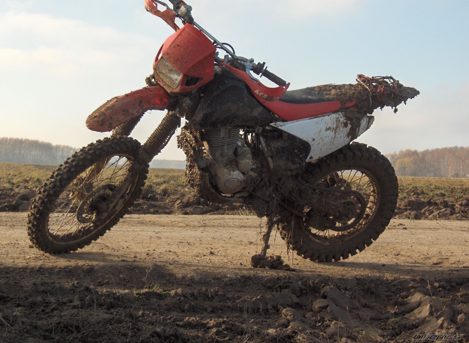 Bike Photo 1070315