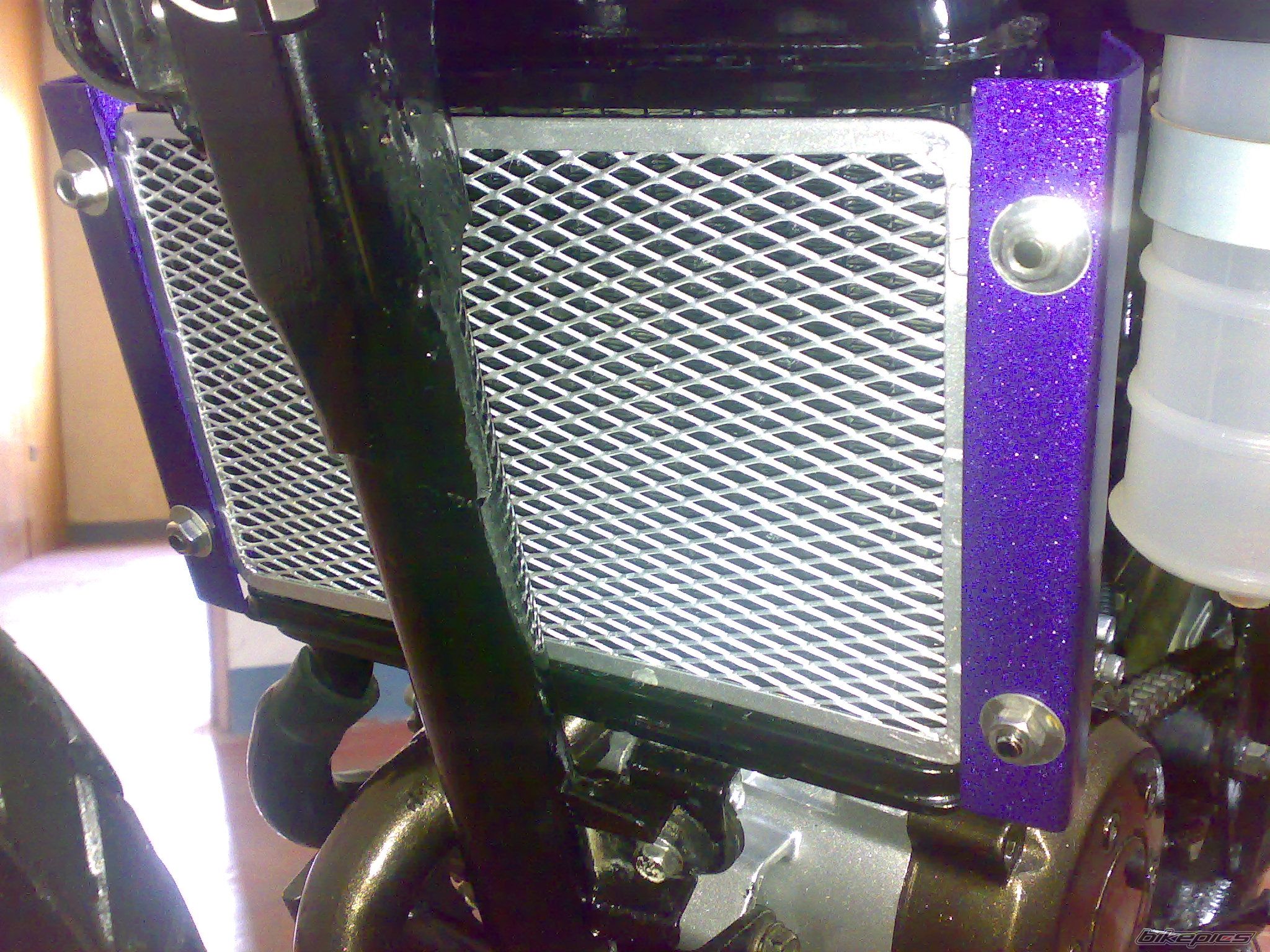 Photo 1070372