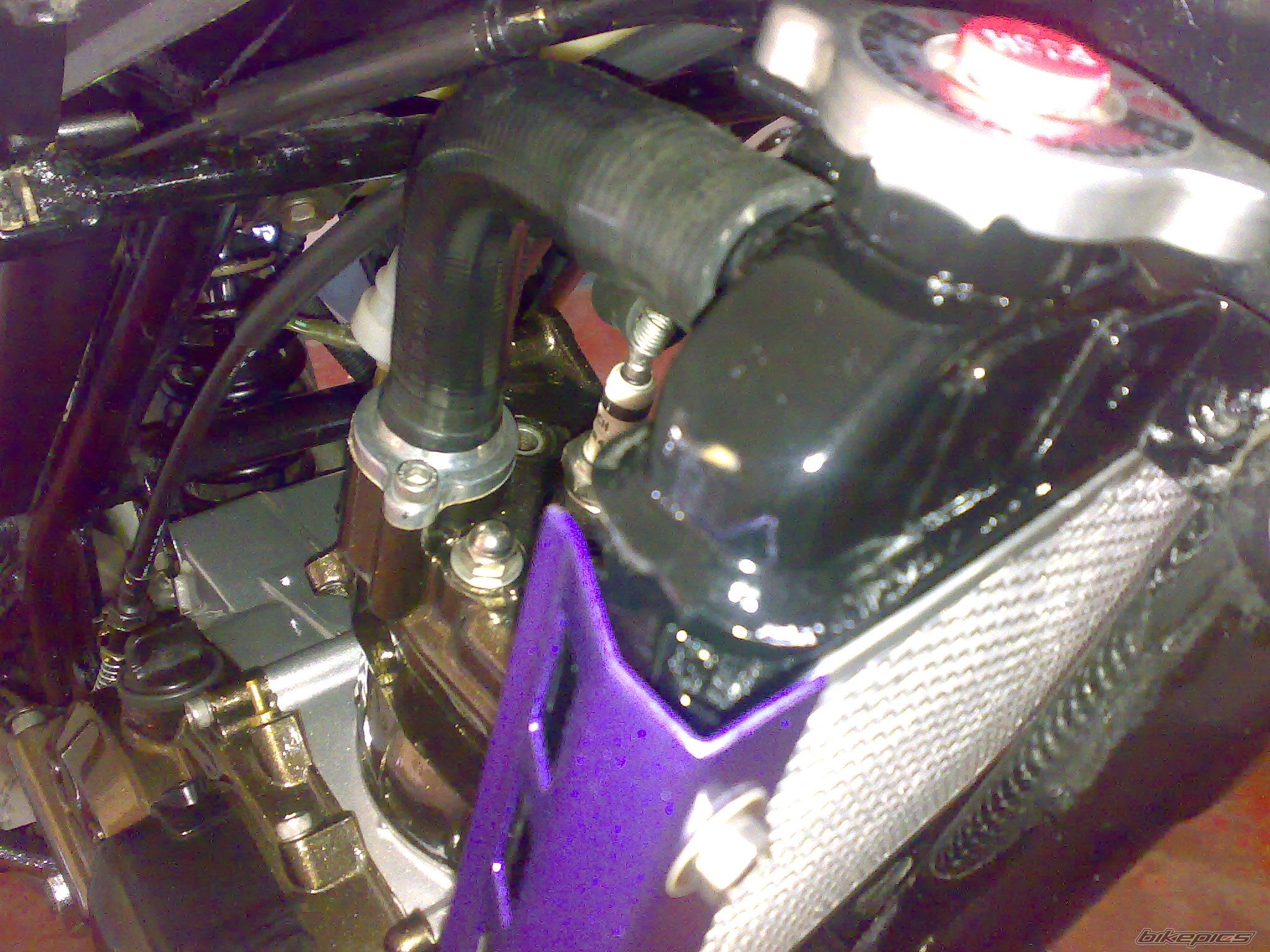 Photo 1070376