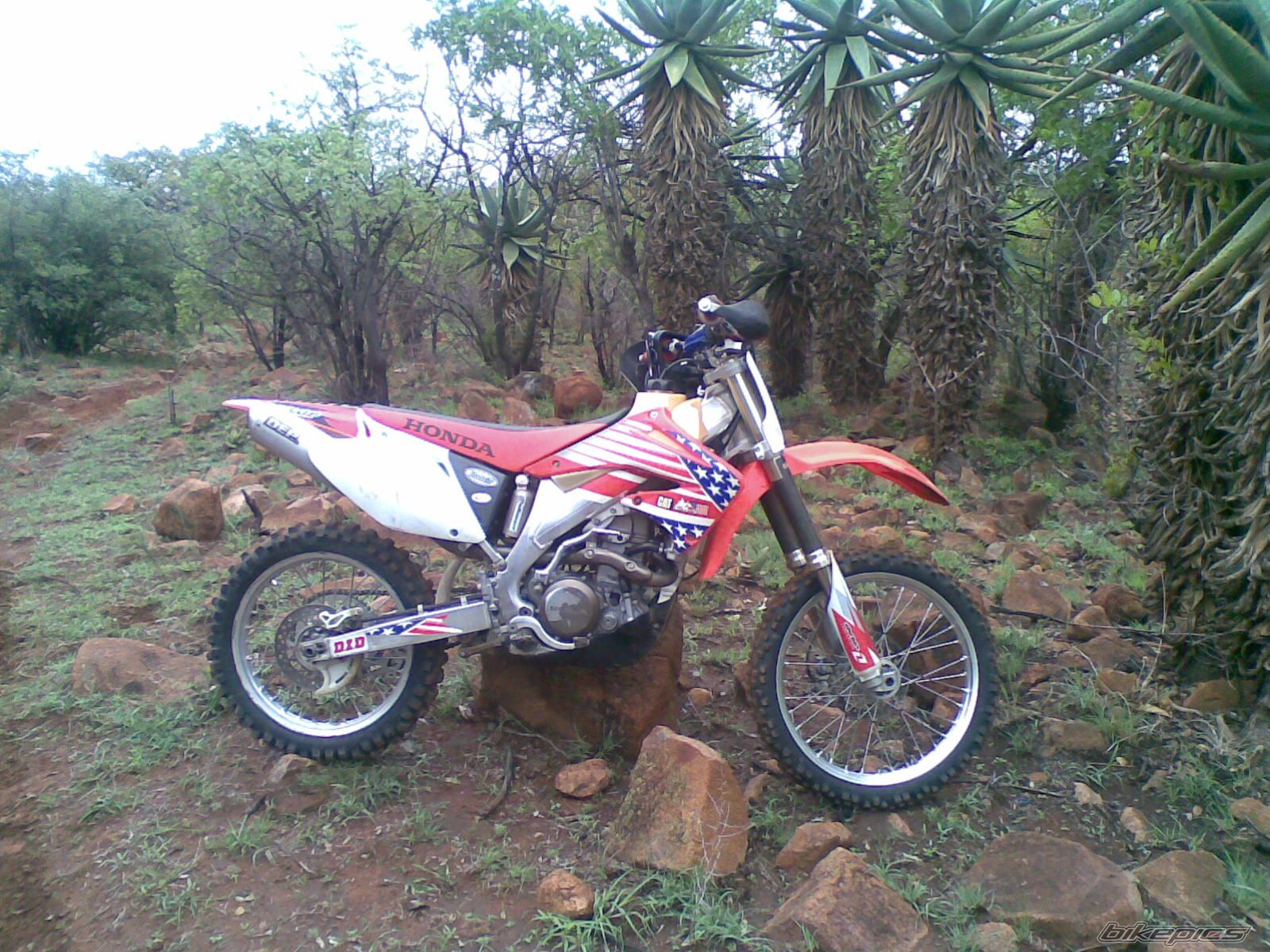Photo 1070436
