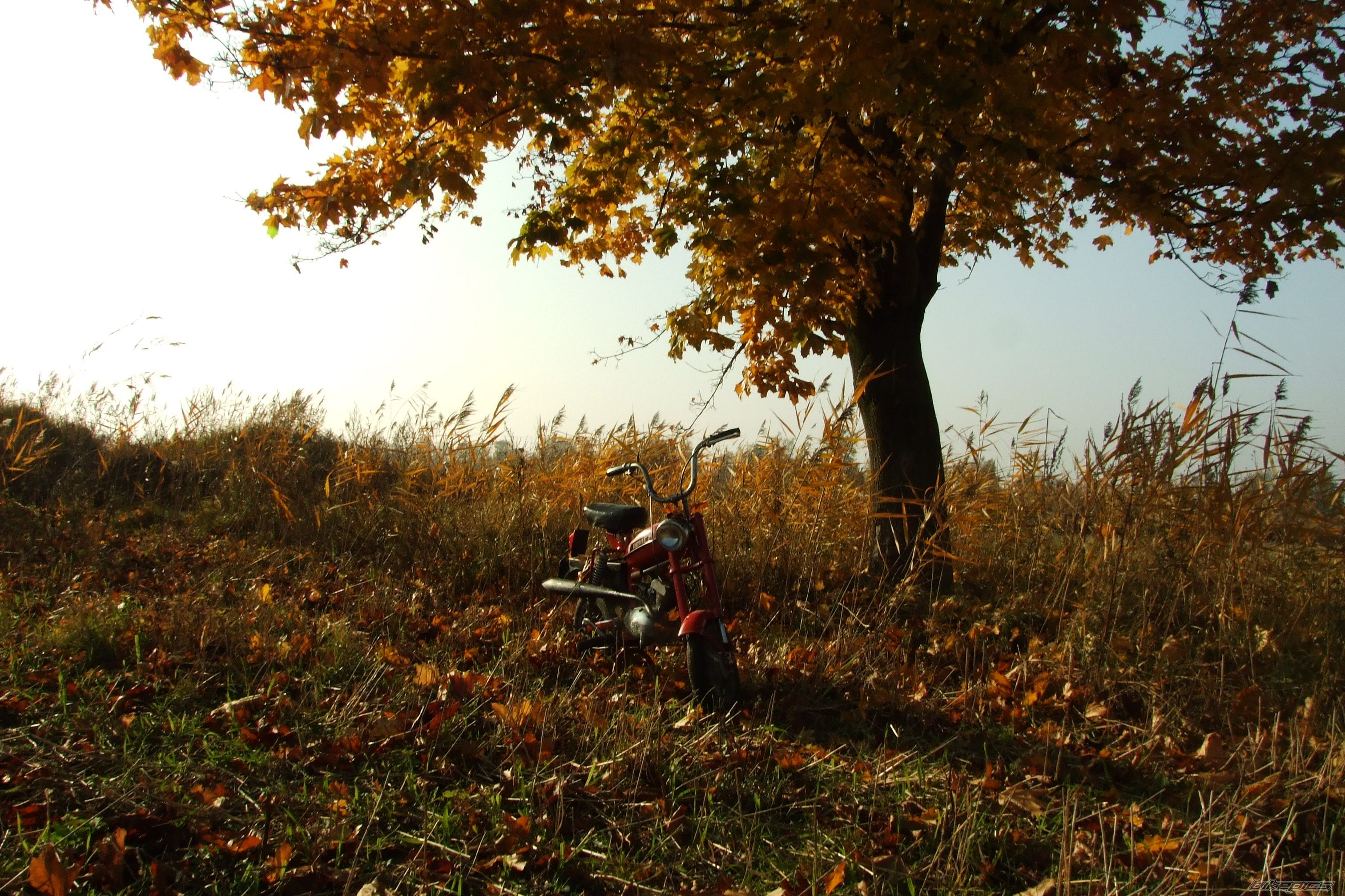 Photo 1070893
