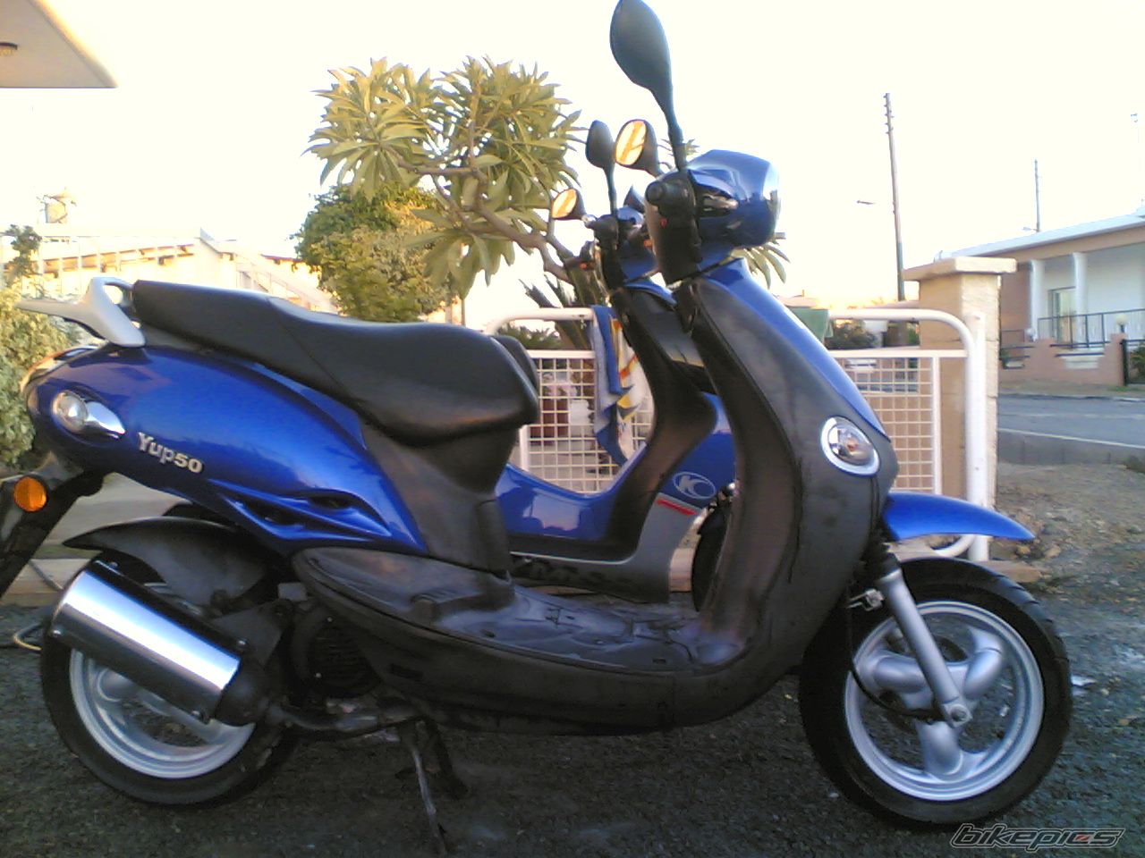 Photo 1071101