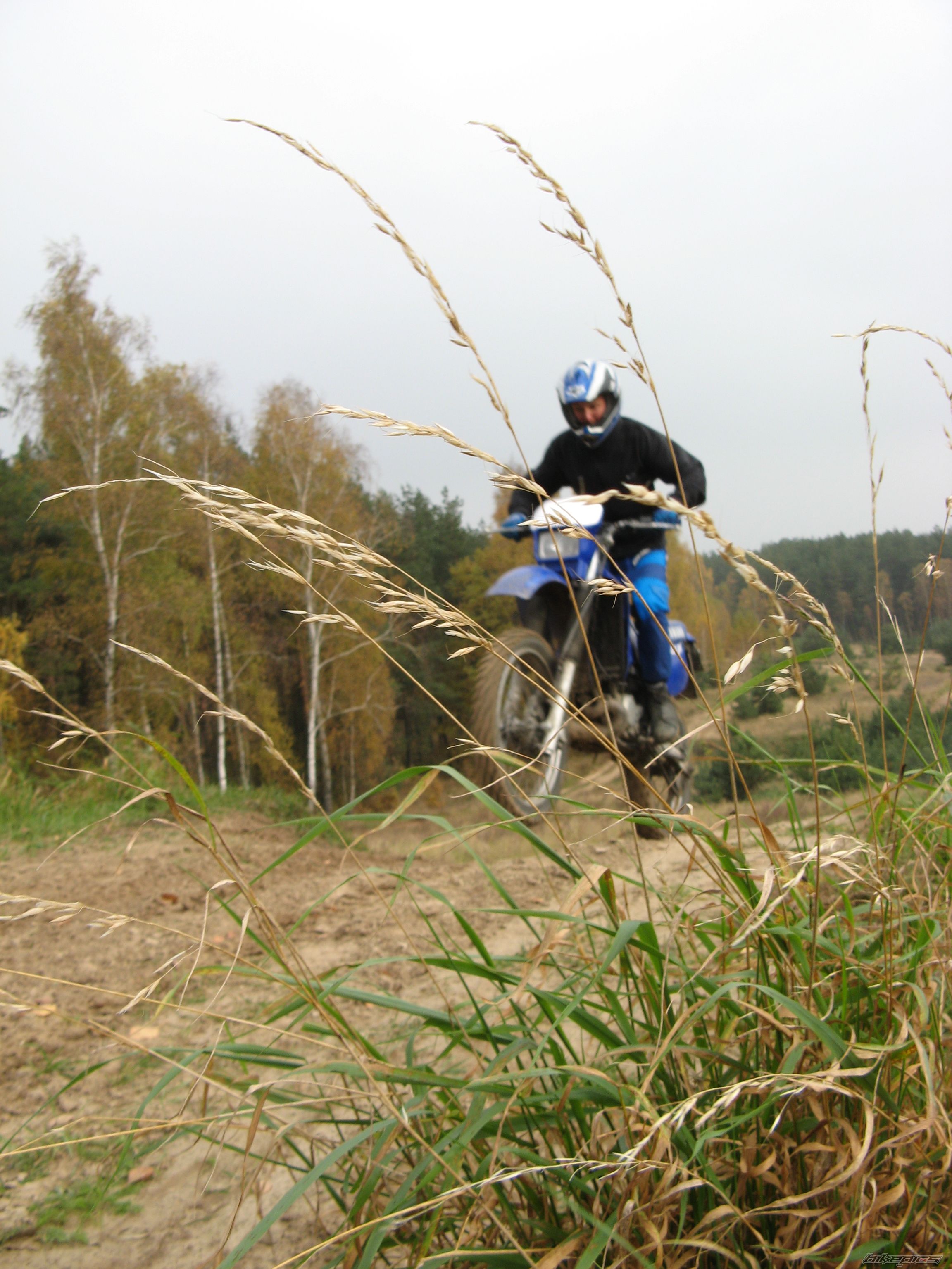 Photo 1071166