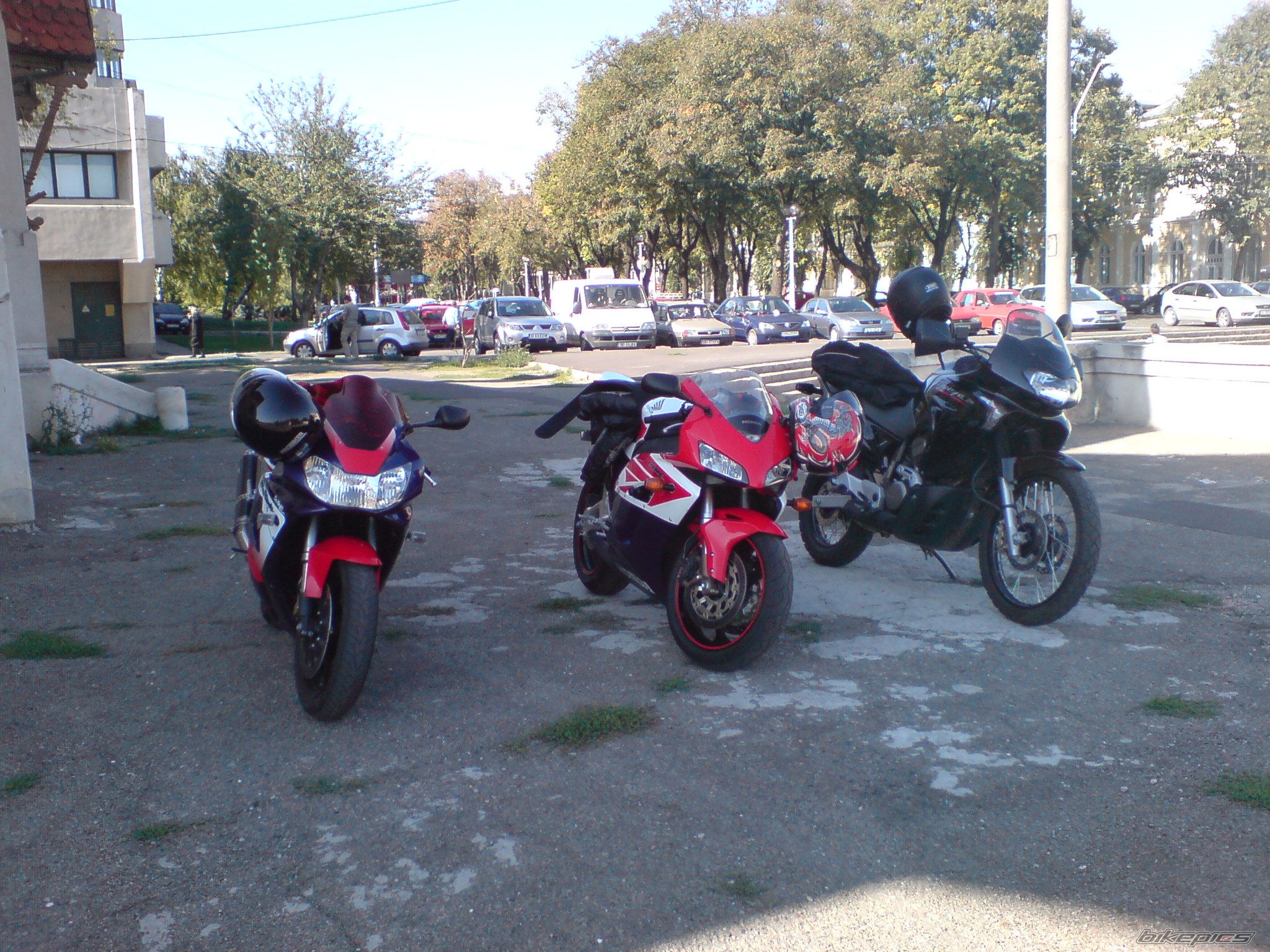 Photo 1071178