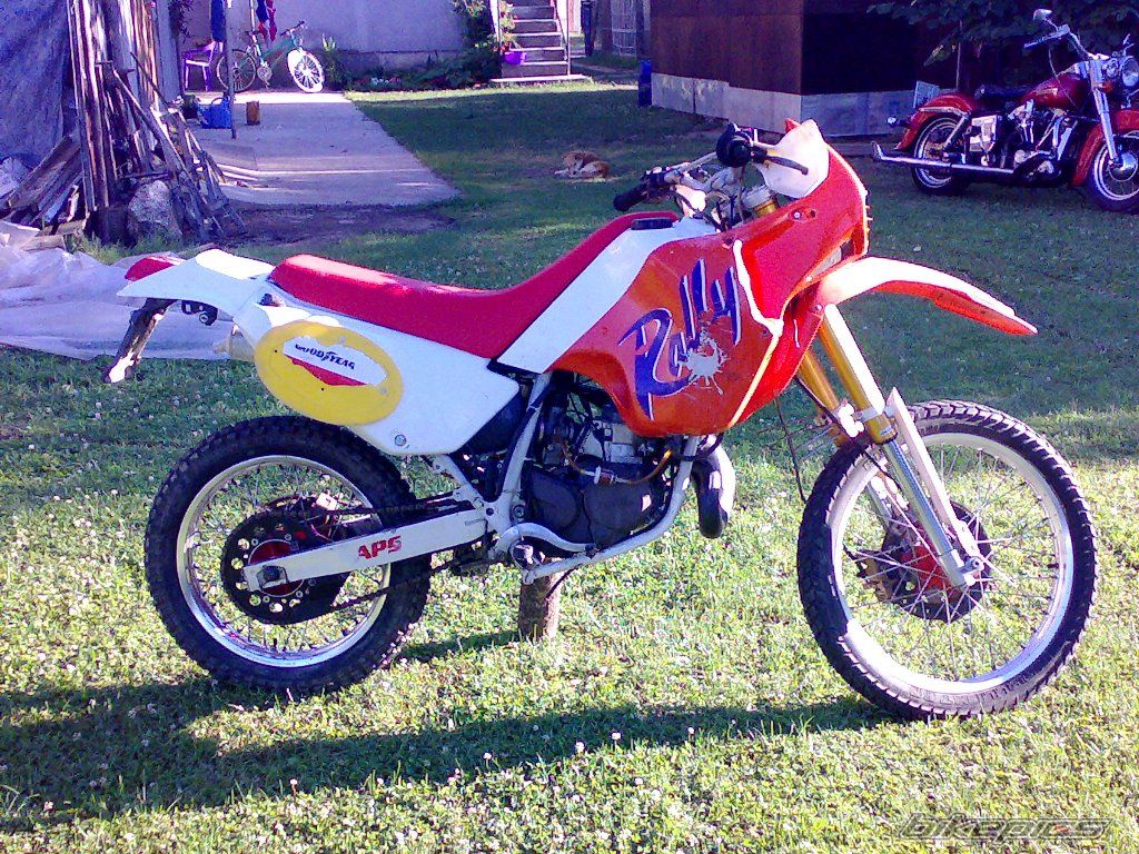 Photo 1071234