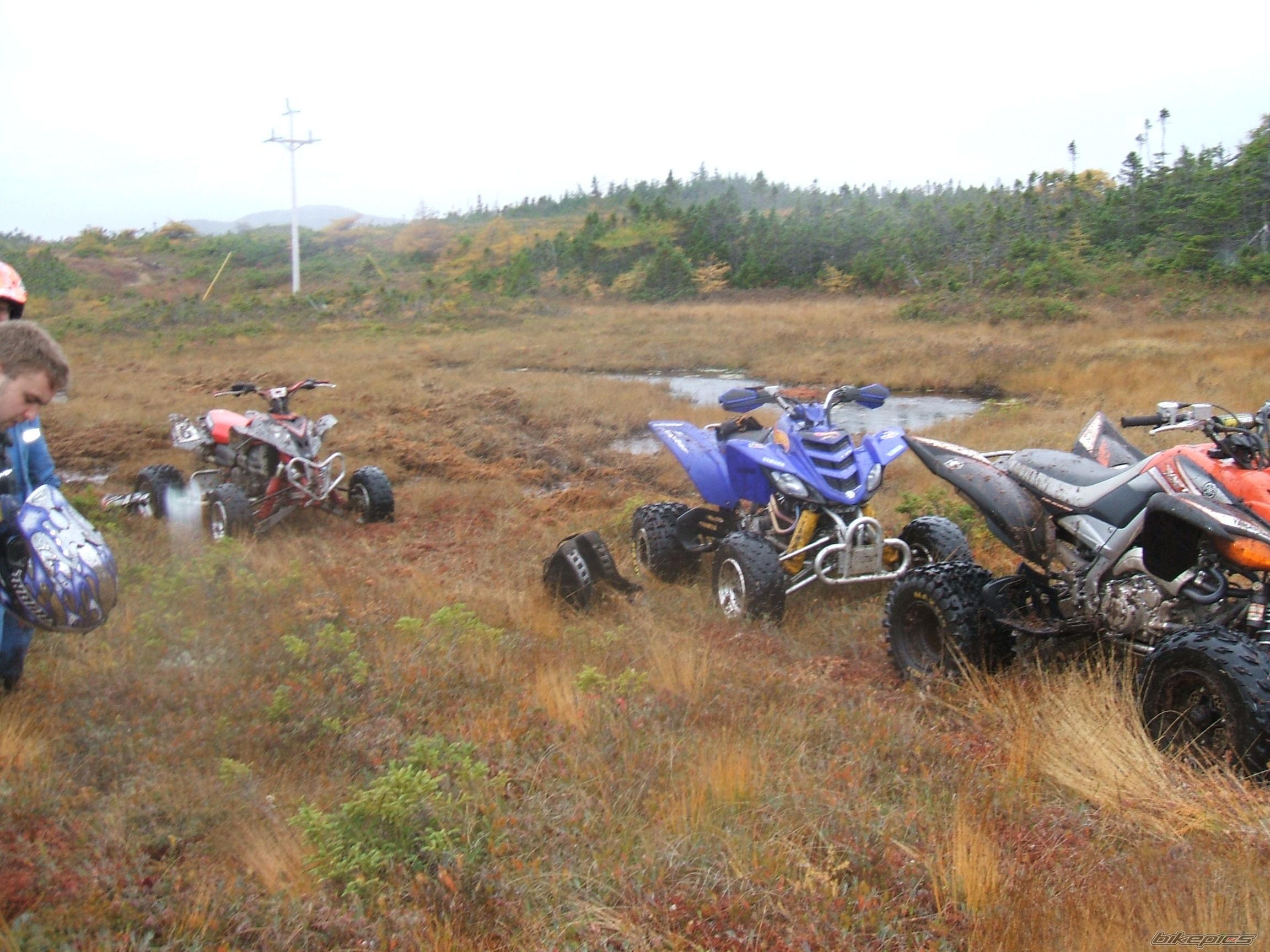 Photo 1071282