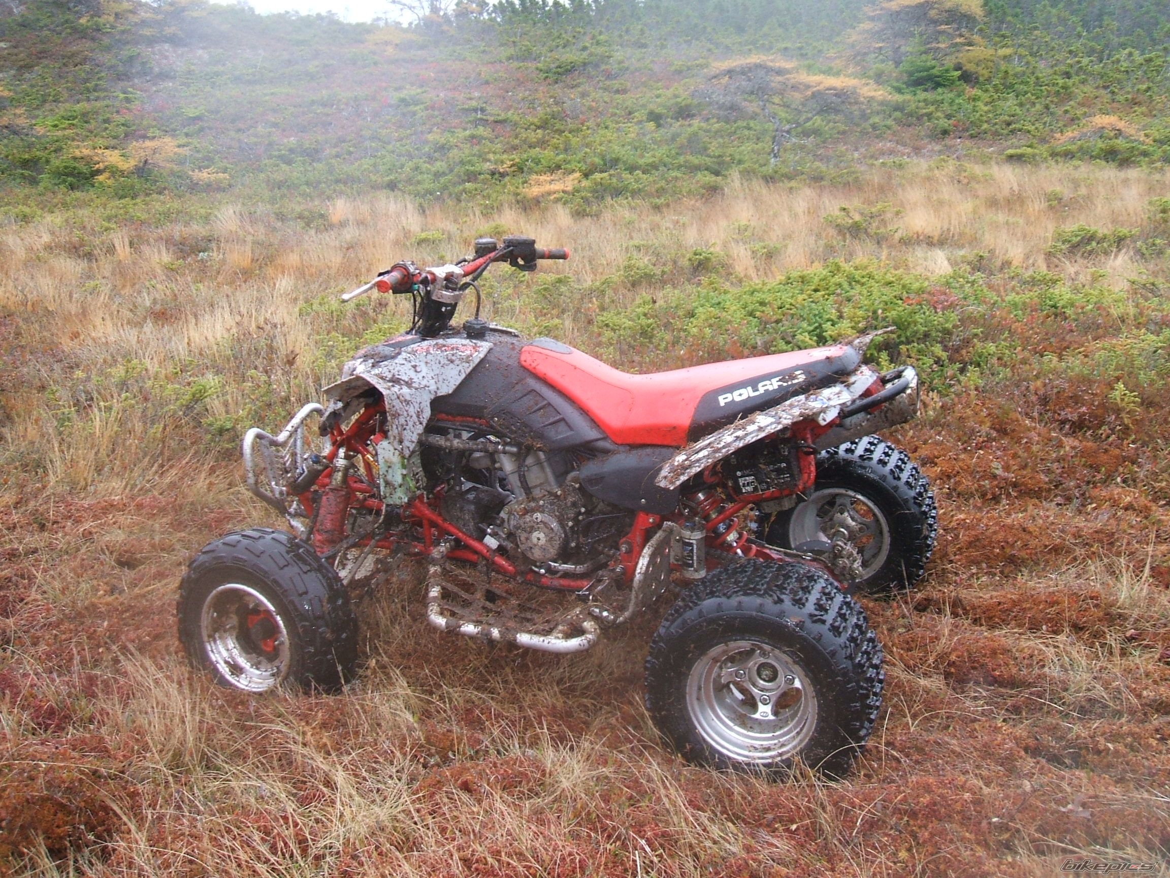 Photo 1071284