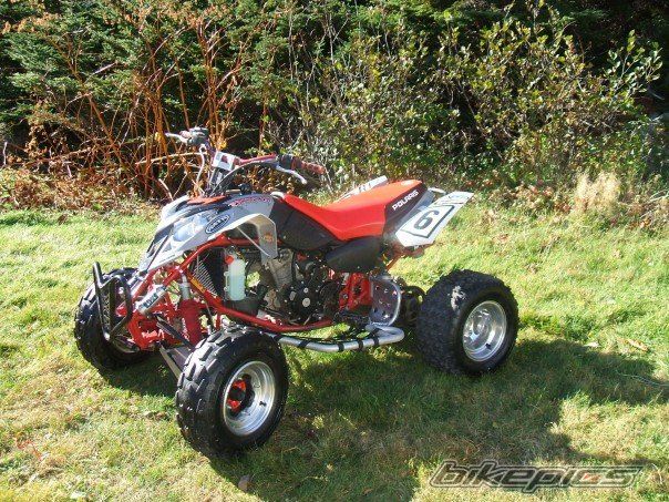Photo 1071289