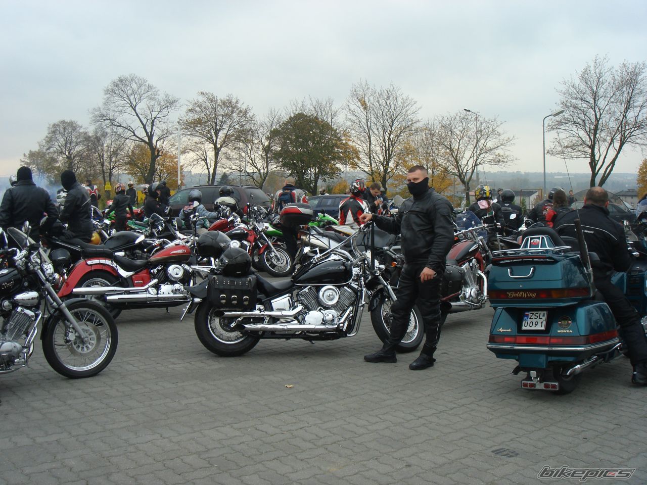 Photo 1071319