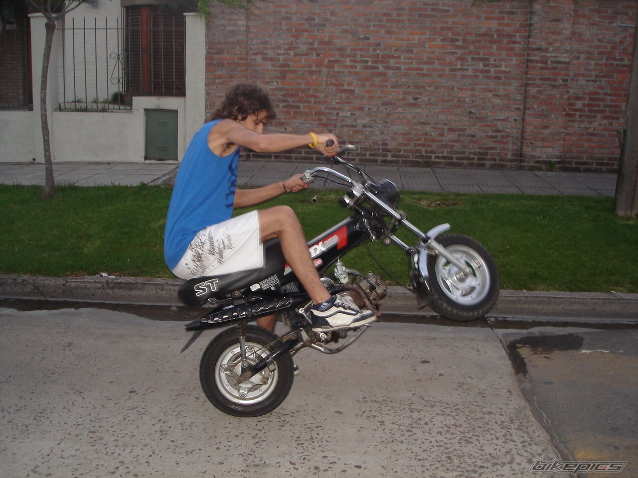 Photo 1071416