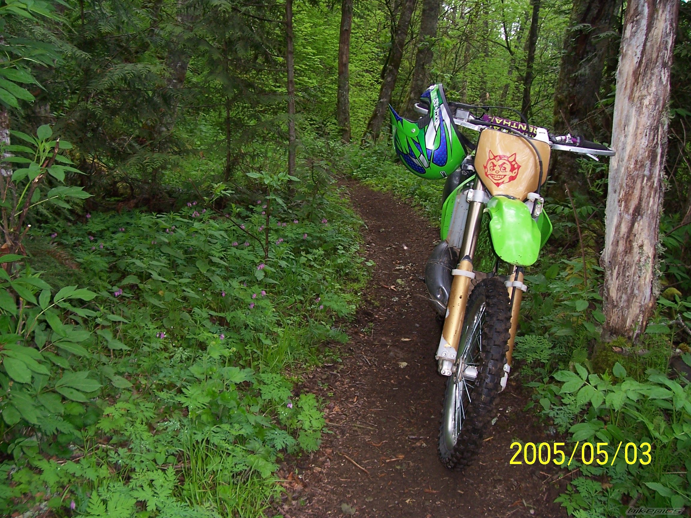 Photo 1071468