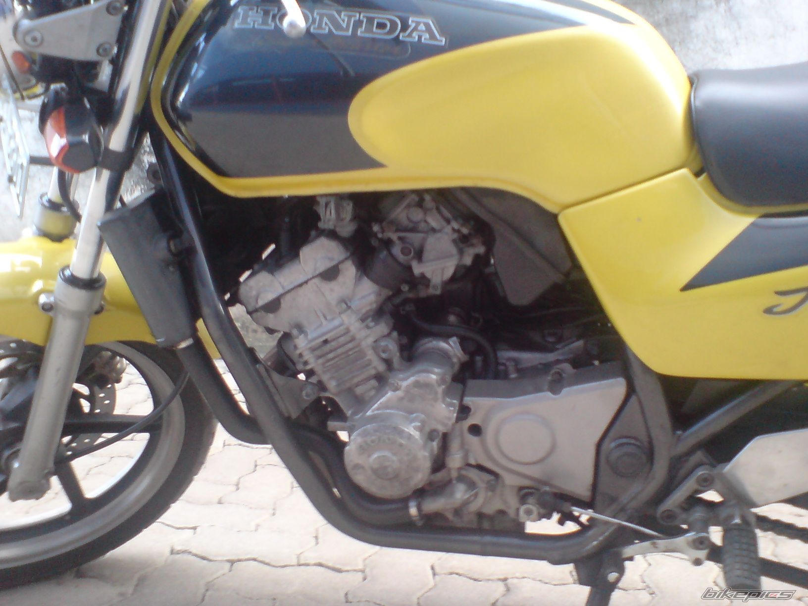 Photo 1071479