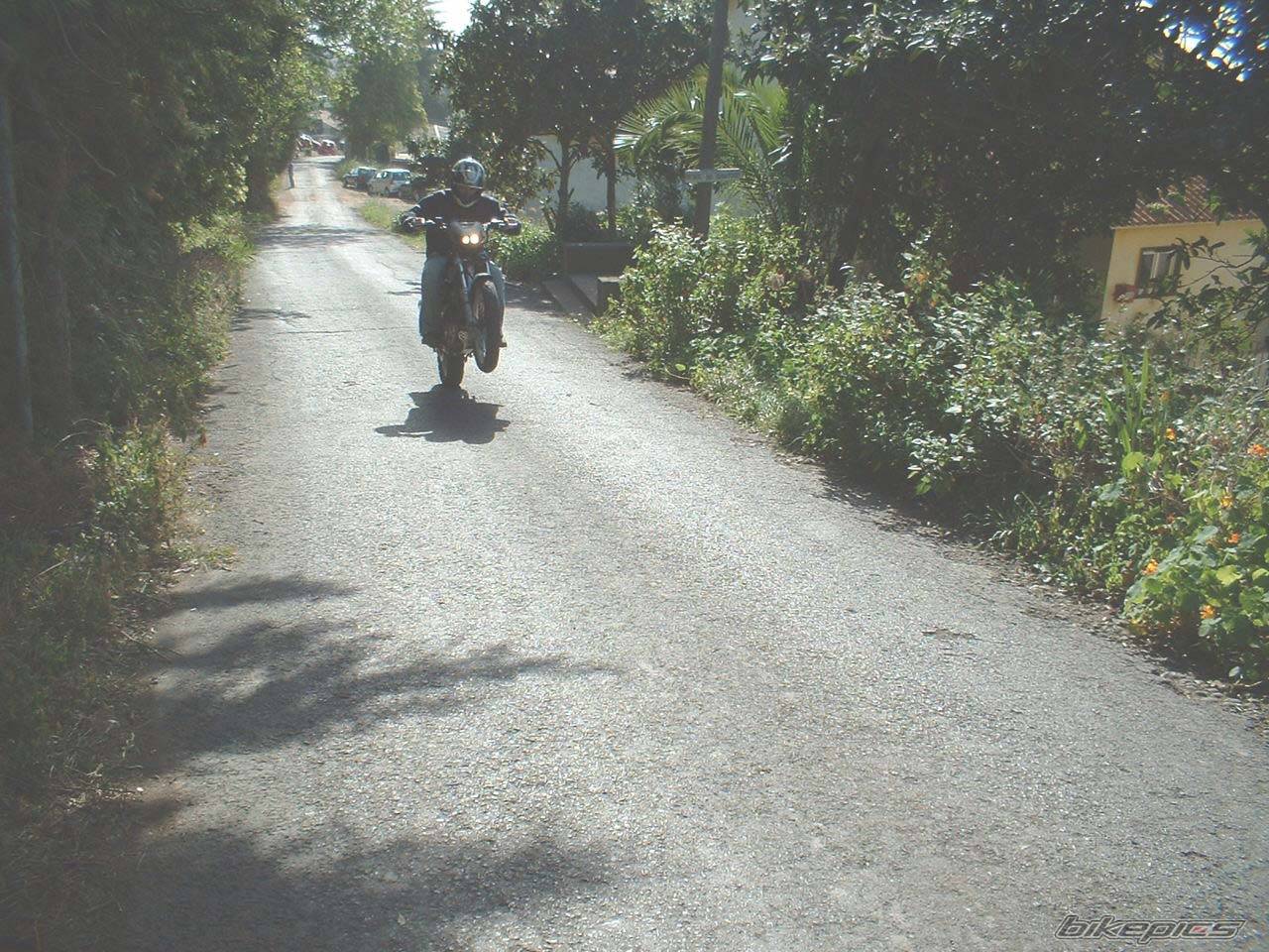 Photo 107155