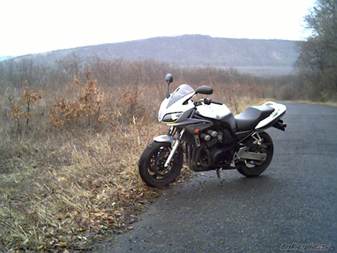 Photo 107161