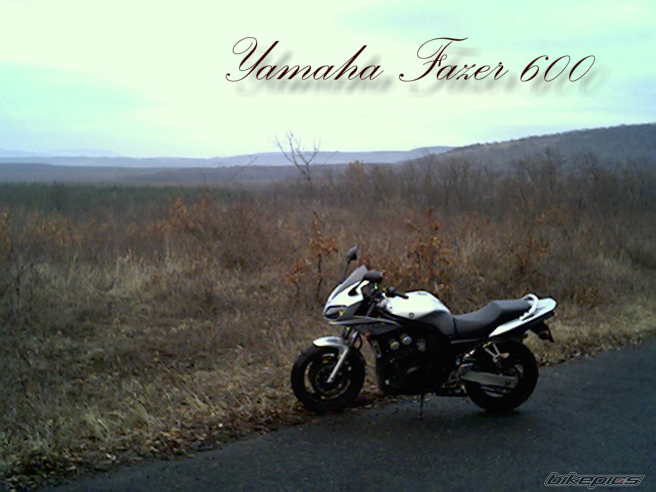 Photo 107162