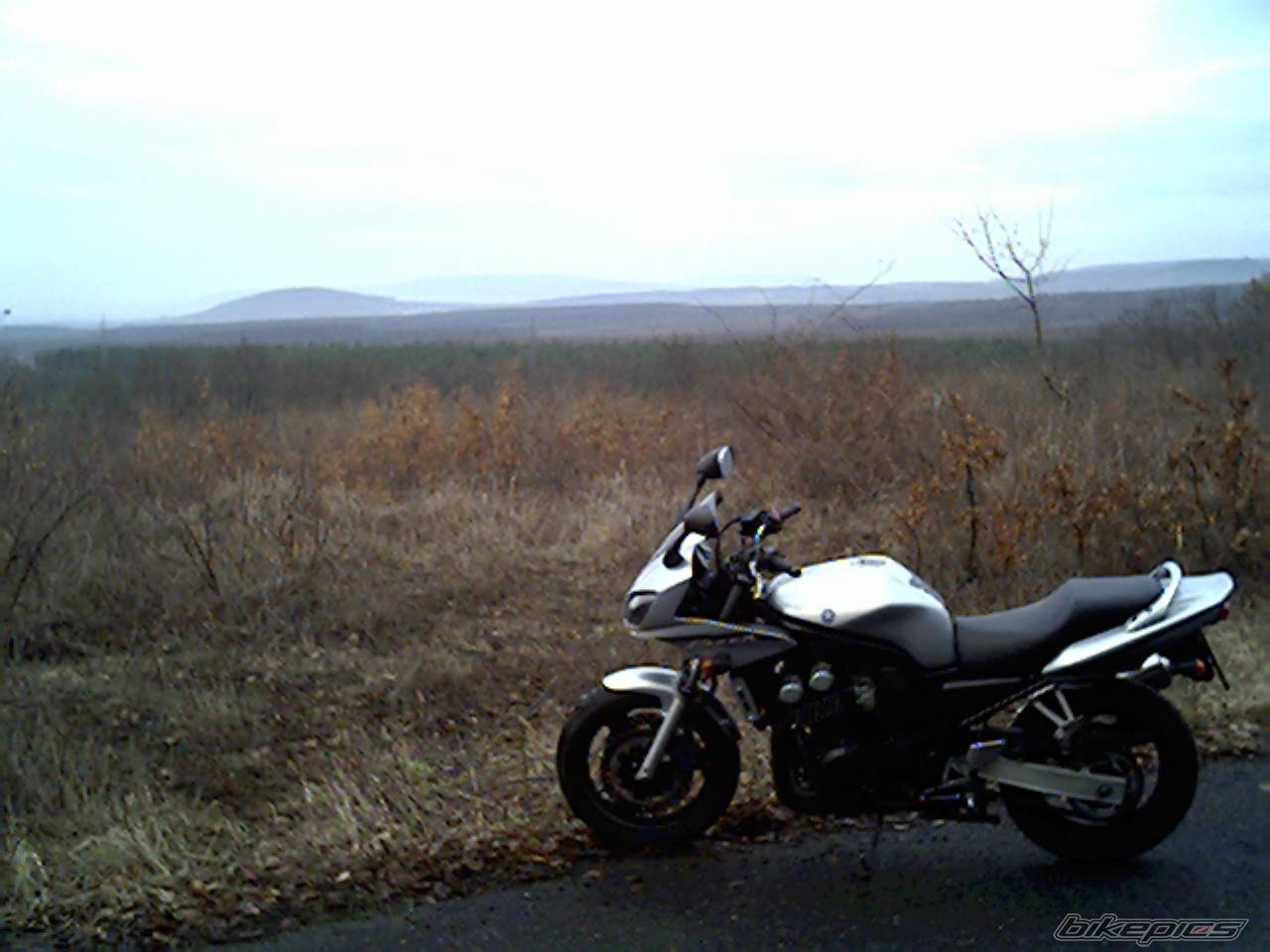 Photo 107164