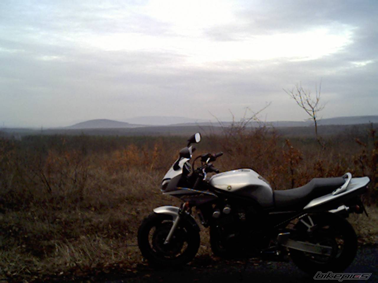 Photo 107165