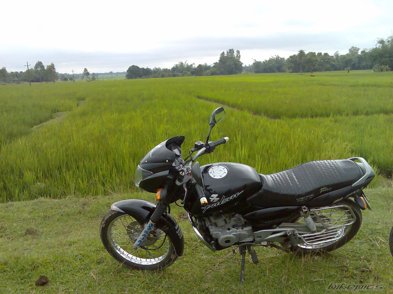Photo 1071817